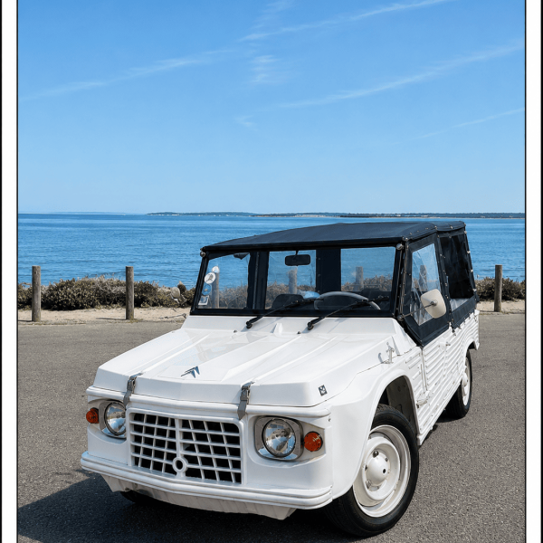 La Duneuse Déjantée LOLA